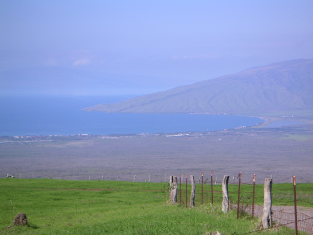 maalaea bay